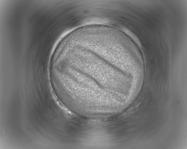 X0000078871104200612041951