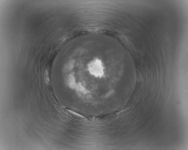 X0000078871106200612041951