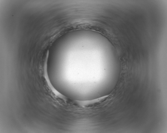 X0000078871109200612041951