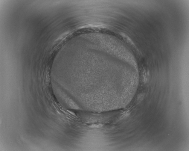 X0000078871110200612041951