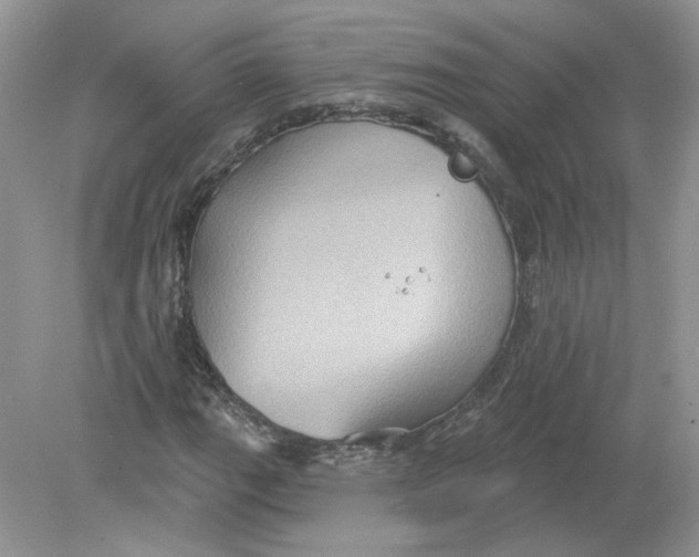 X0000078871111200612041951