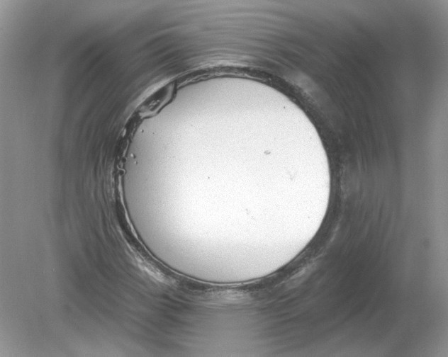 X0000078871113200612041951