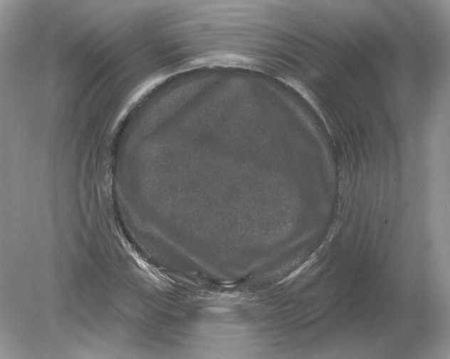 X0000078871115200612041951