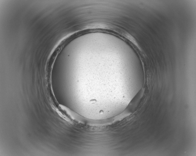 X0000078871116200612041951