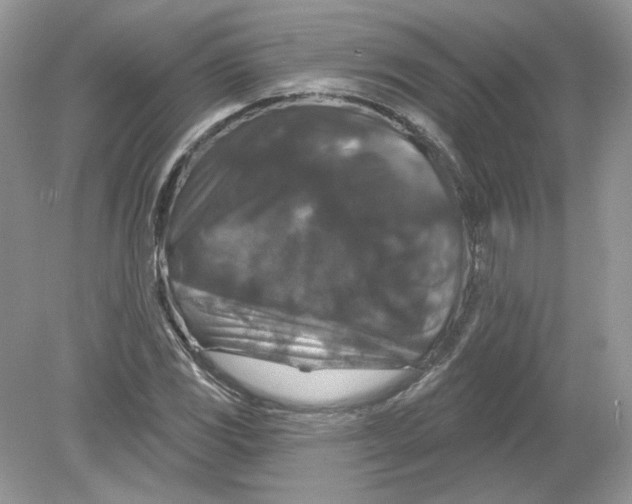 X0000078871117200612041951