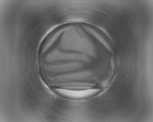 X0000078871118200612041951