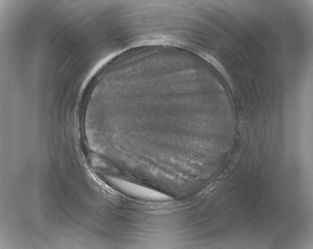 X0000078871120200612041951