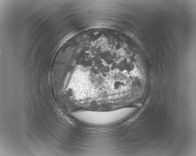 X0000078871121200612041951