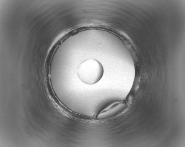 X0000078871122200612041951