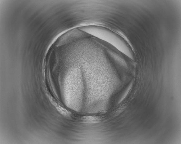 X0000078871124200612041951