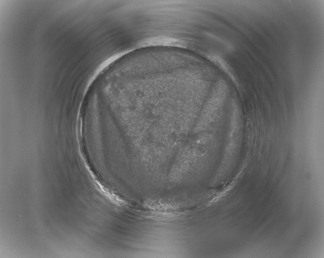 X0000078871125200612041951