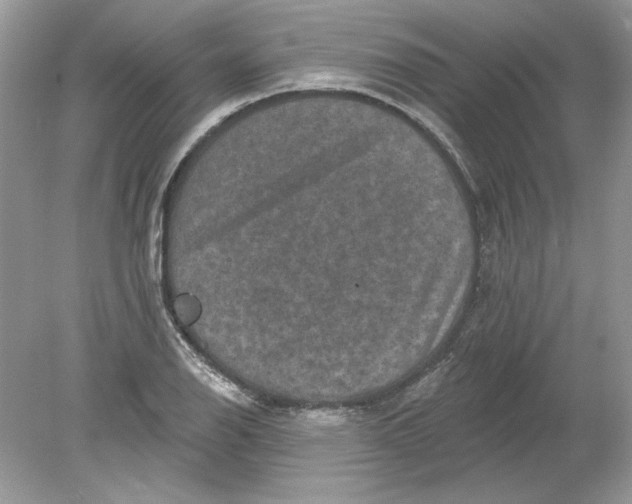 X0000078871126200612041951