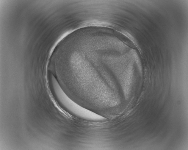 X0000078871128200612041951