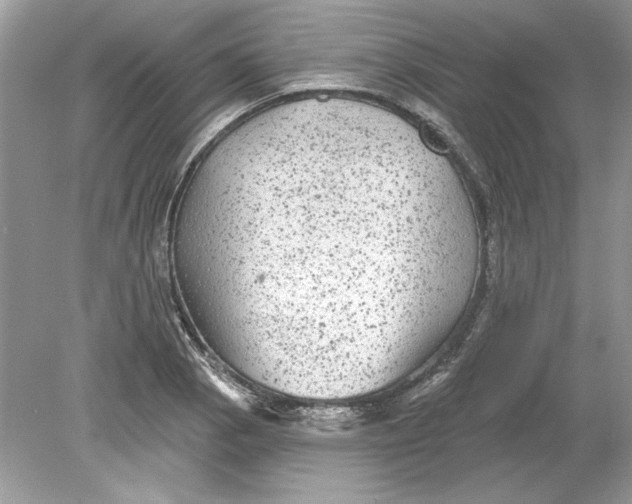 X0000078871129200612041951