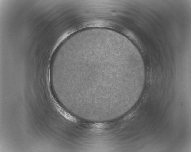 X0000078871130200612041951