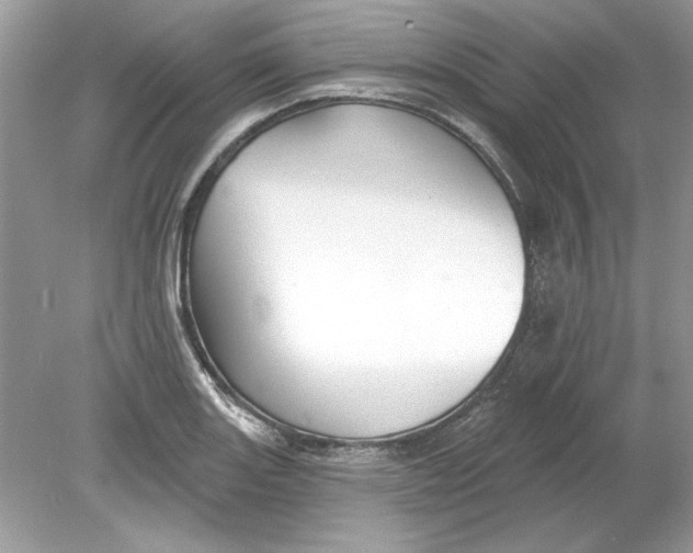 X0000078871131200612041951