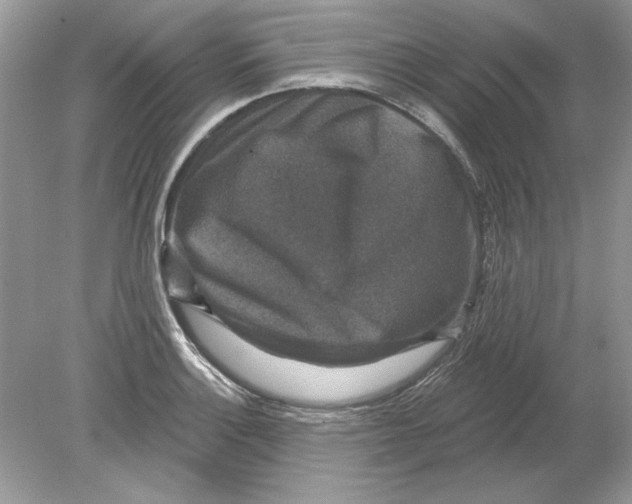 X0000078871132200612041951