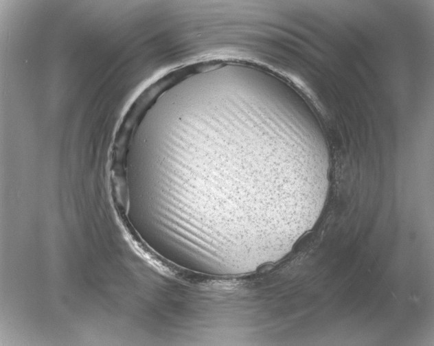 X0000078871134200612041951