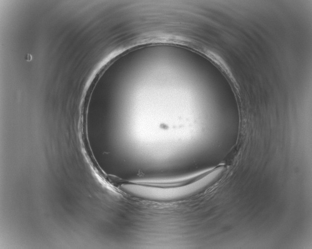 X0000078871136200612041951