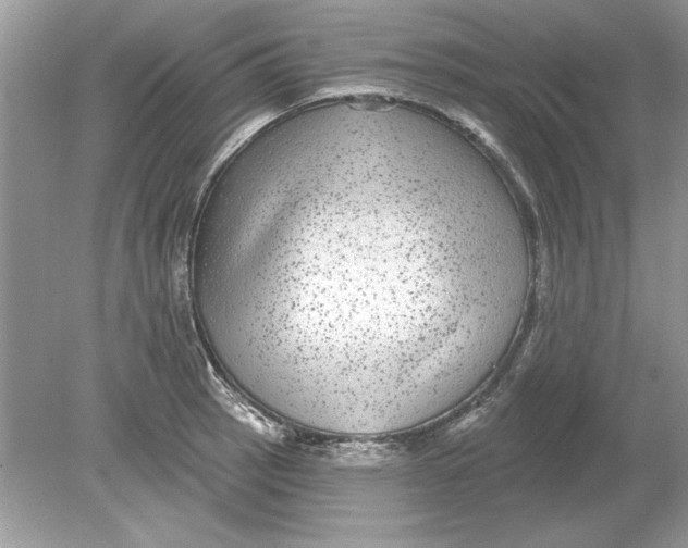 X0000078871137200612041951