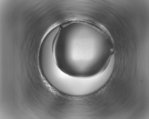 X0000078871138200612041951