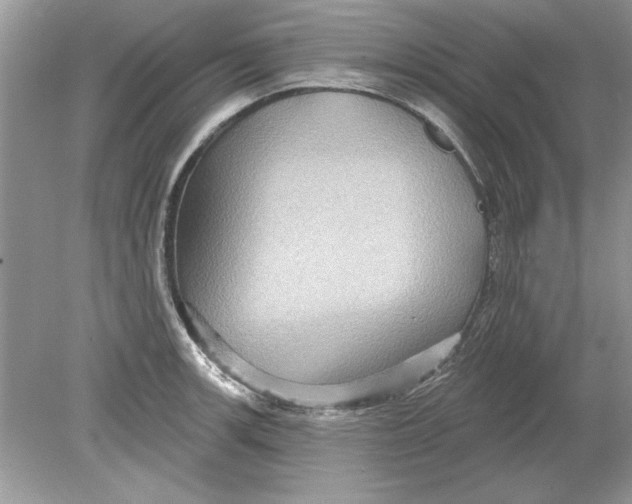 X0000078871139200612041951