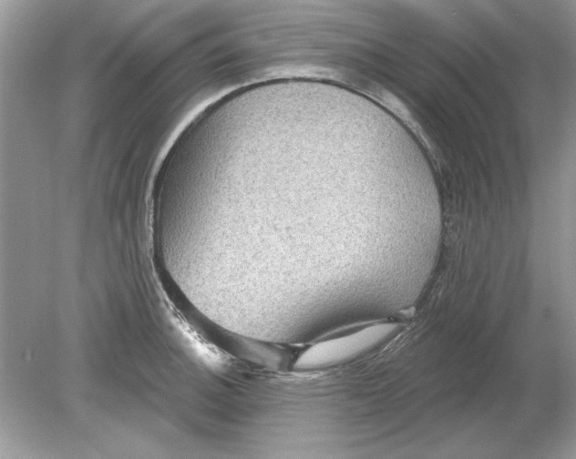 X0000078871140200612041951