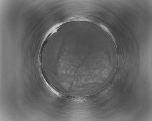 X0000078871141200612041951