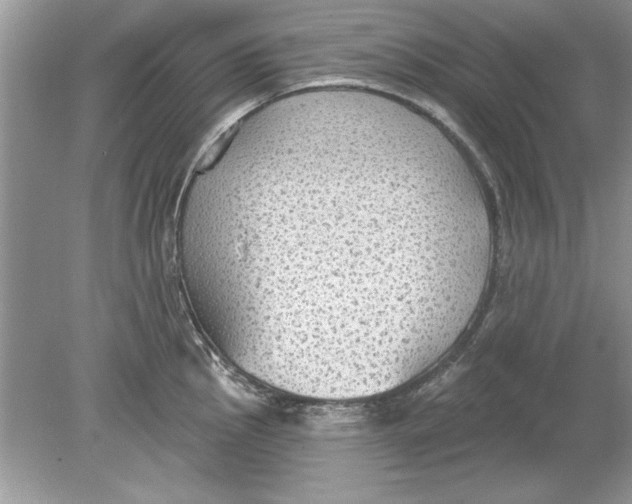 X0000078871145200612041951