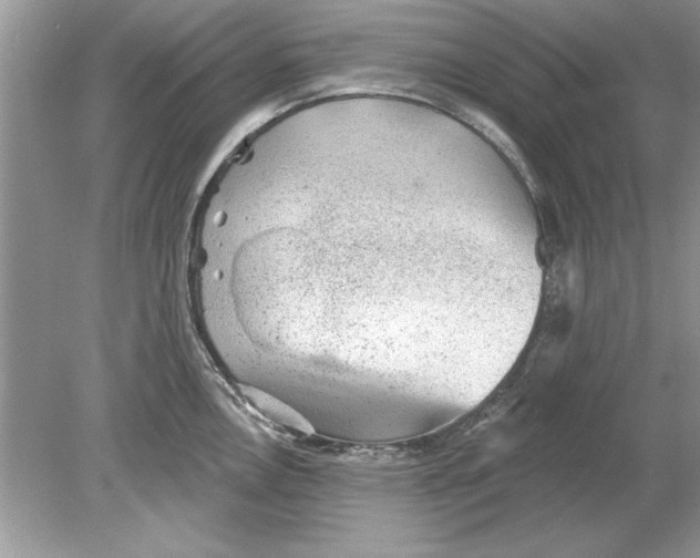 X0000078871146200612041951