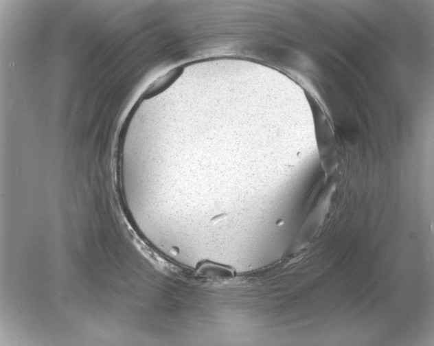 X0000078871148200612041951