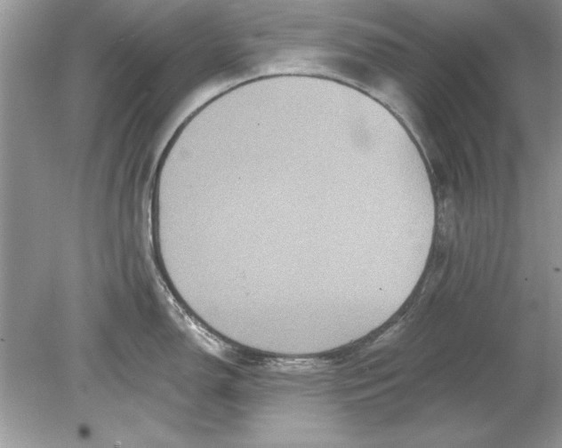 X0000078871150200612041951