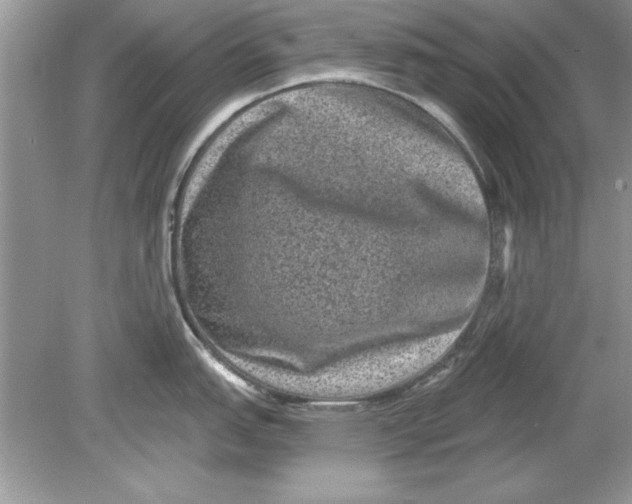 X0000078871151200612041951