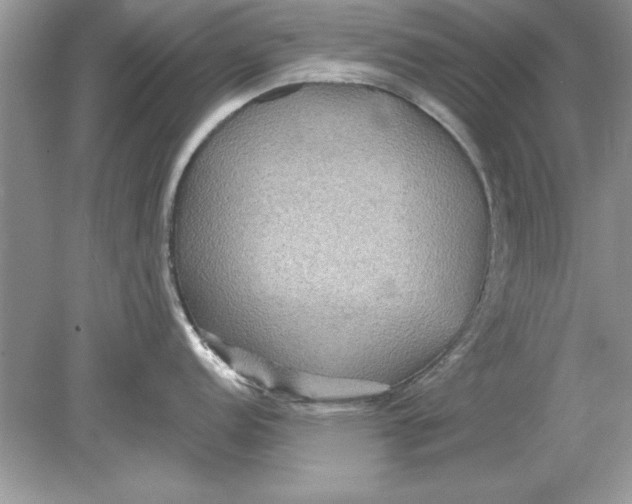 X0000078871152200612041951