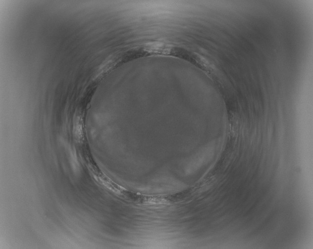 X0000078871154200612041951