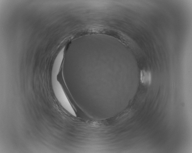 X0000078871155200612041951