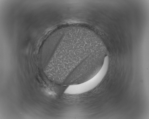 X0000078871157200612041951