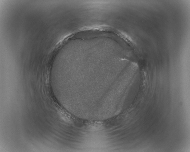 X0000078871158200612041950