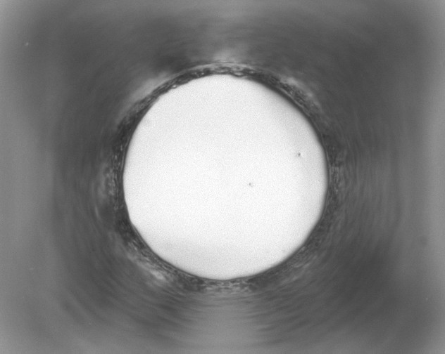 X0000078871159200612041950