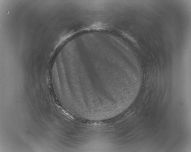 X0000078871160200612041950