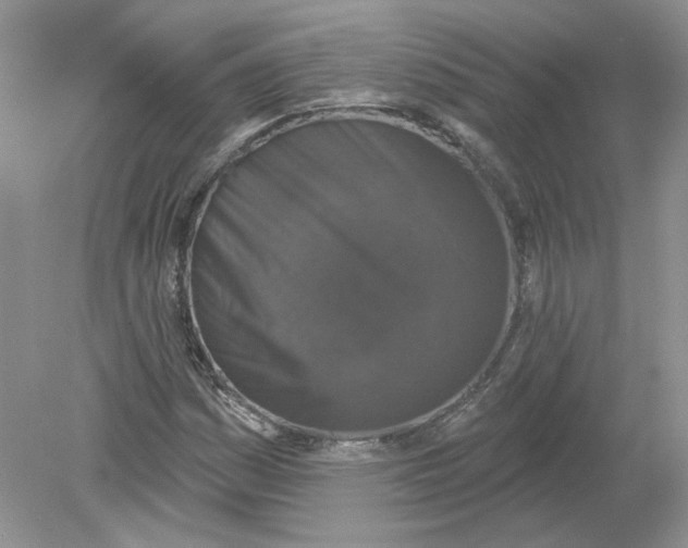 X0000078871161200612041950