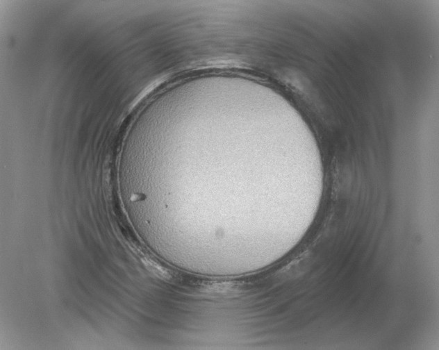 X0000078871162200612041950