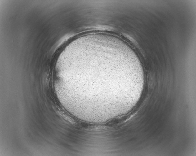 X0000078871163200612041950