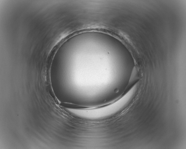 X0000078871165200612041950