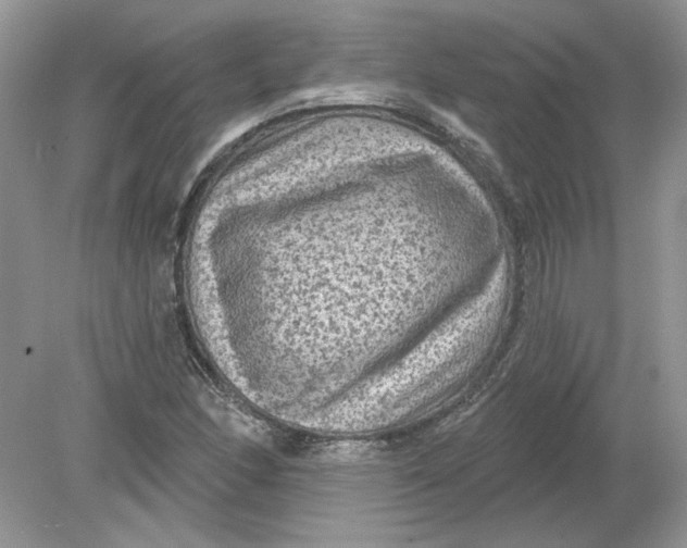 X0000078871166200612041950