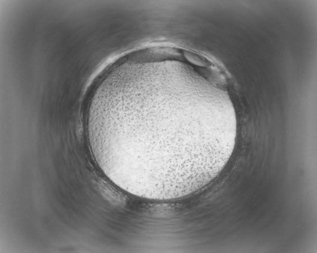 X0000078871167200612041950