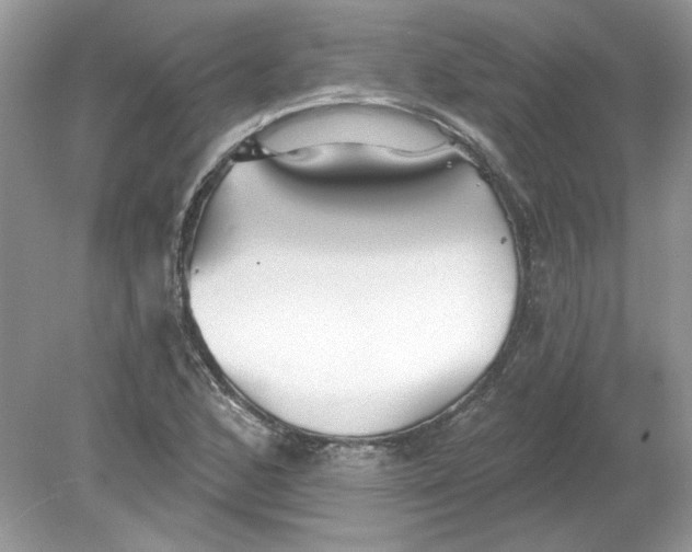 X0000078871168200612041950