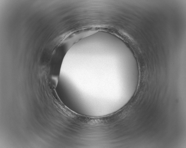 X0000078871169200612041950