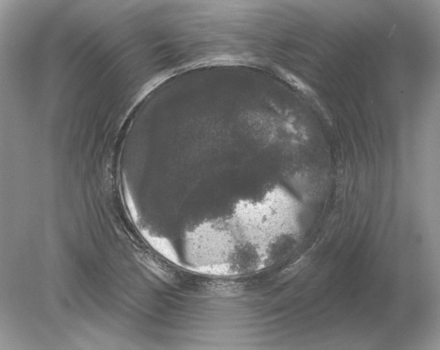 X0000078871170200612041950