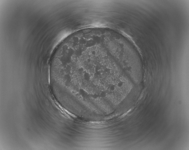 X0000078871171200612041950